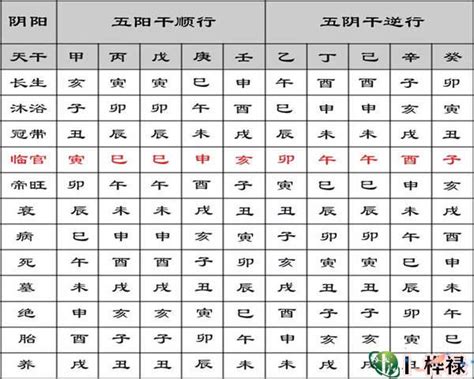 寄生十二宫|五行寄生十二宫的详细解释